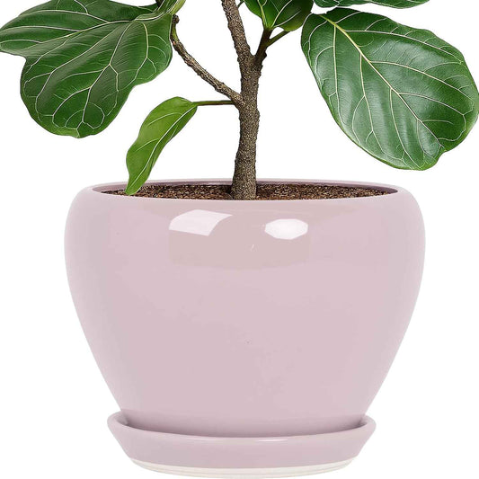 Deep Dream 10 Inch Plant Pot- Ceramic Planter Pot Round Plant Pots for Indoor Plants Outdoor Large Flower Pot with Drainage Holes & Trays, Pink