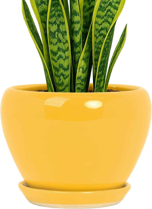 Deep Dream 8 Inch Plant Pots- Ceramic Pots for Plants with Drainage Hole and Saucer, Large Planter Pot for Indoor Plants Outdoor Decor, Yellow