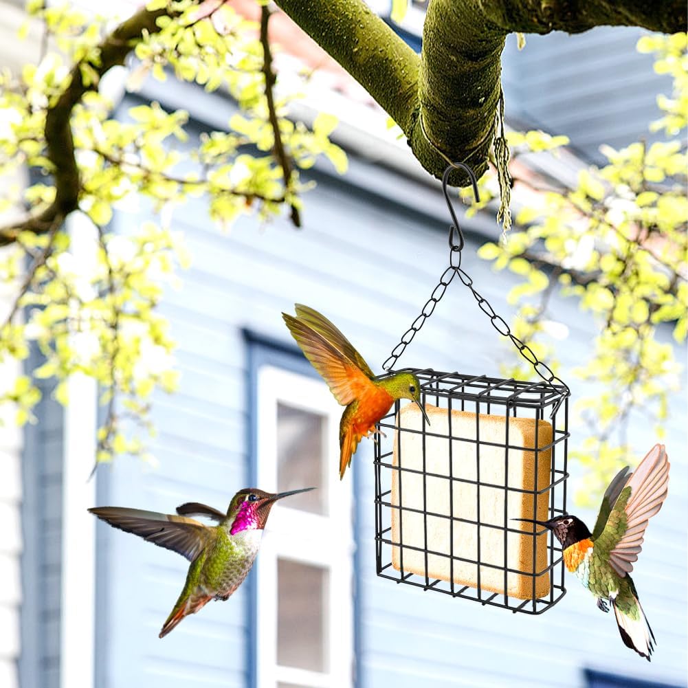 Outdoor Suet Cage Bird Feeders – 2 Pack