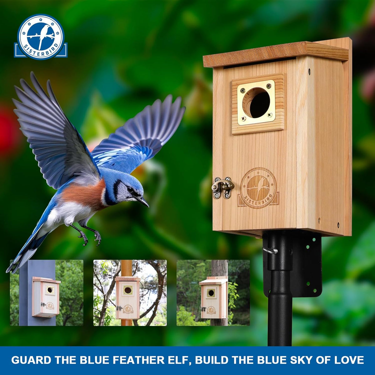 Cedar Bird Houses with Copper Predator Guards – 2 Pack