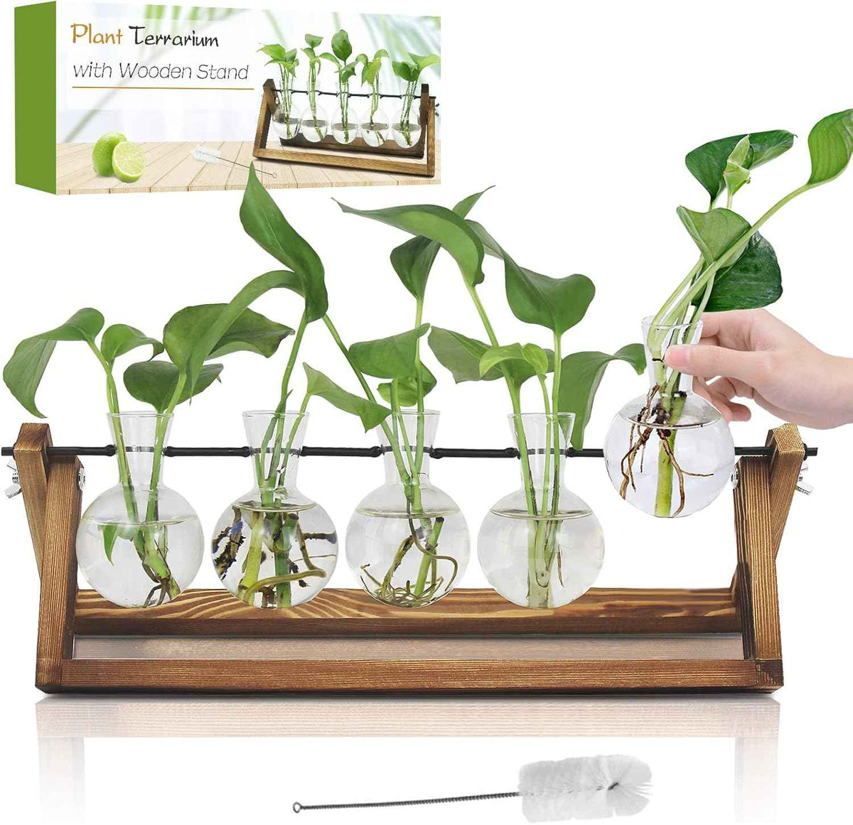 Plant Propagation Station, Propagation Vases for Plants, Unique Gardening Birthday Gifts for Women Plant Lovers Mom Best Friend - 5 Bulb Glass Vases