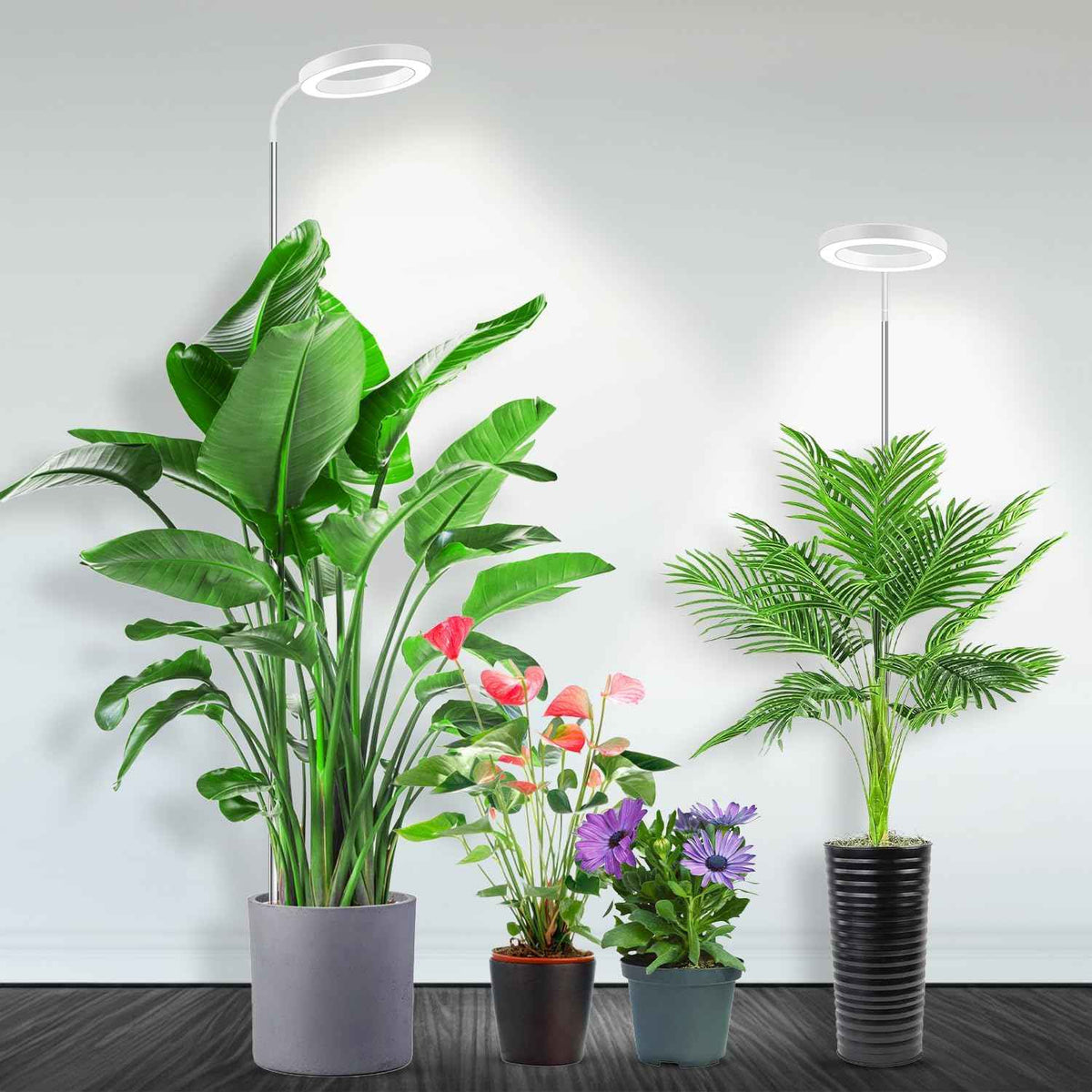 Garpsen Full Spectrum Grow Light, [2Pack]LED Plant Lights for Indoor Growing with 360° Gooseneck, 3 Colors Modes and 5 Dimmable Levels, 65'' Height Grow Lamp with 6/12/16H Timer, for Large Plant Light