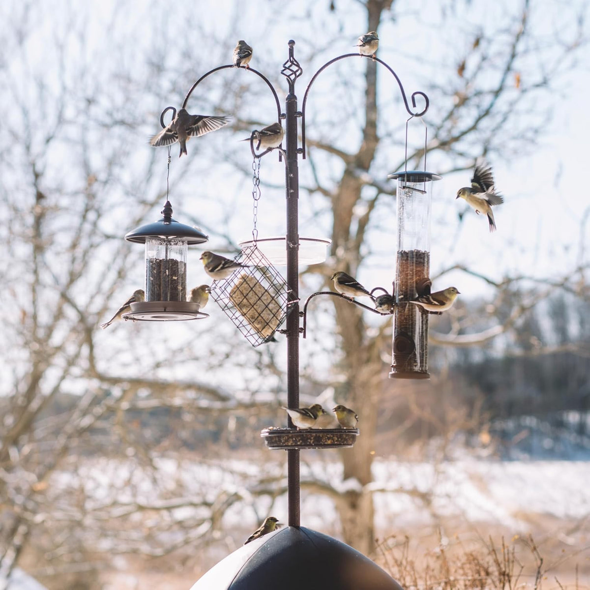 Backyard Expressions 90" Bird Feeding Station for Outdoors, Heavy Duty Bird Feeder Pole with Squirrel Baffle, Shepherd Hooks, Suet Cage, Water Bowl & Tray, Multi Hook Bird Feeder Stand for Yard Garden