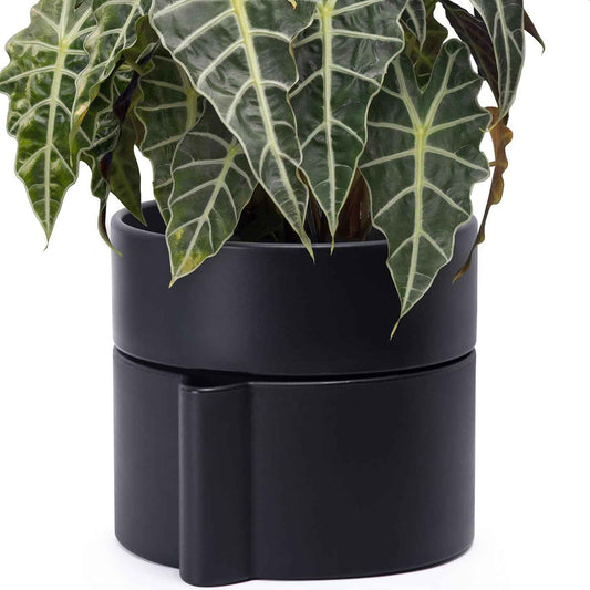Phoenix Vine 8 Inch Self-Watering Planter Pot with Terracotta Insert, Deep Water Reservoir, and Ceramic-Alike BPA-Free Plastic Planter Pot for Plant, Modern Planter for Houseplants, Black, 53-A-T-2