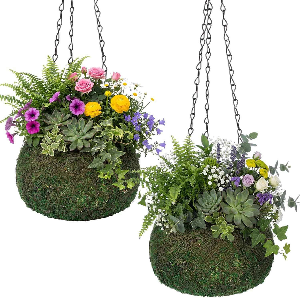 2 Pack 6 Inch Kokedama Moss Ball Planter Orchid Pots Hanging Orchid Planter Basket Moss Ball Hanging Baskets for Plants Outdoor Woven Plant Holder for Indoor Home Garden Balcony Decor
