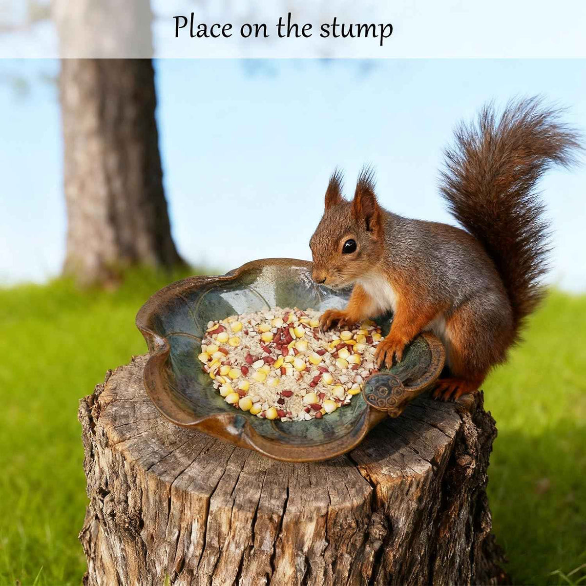 Ceramic Bird Bath and Feeder, Heavy Duty 12.5-Inch Ground Feeding Bowl, Wildlife Water Station for Squirrel Rabbit Bird Bee - Garden, Yard, Balcony Décor