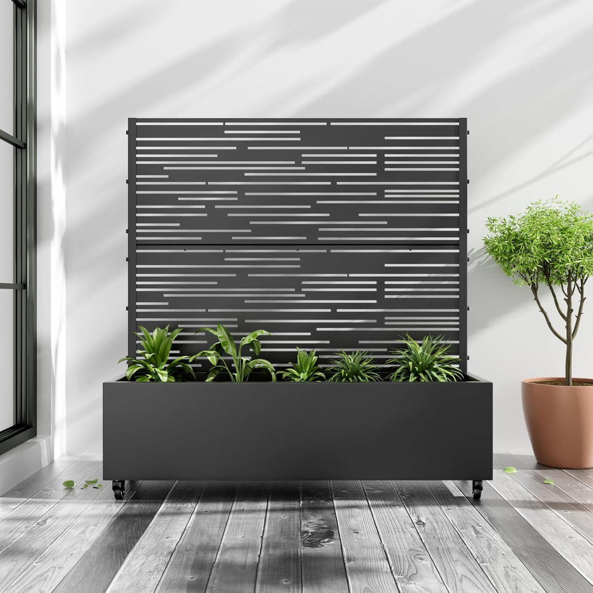 Casaphoria Metal Raised Garden Bed with Trellis and Wheels, 47"x47"x16" Planter Box for Climbing Plants, Vegetables & Vines, Features Drainage Holes and Privacy Screen (Black-Shine)