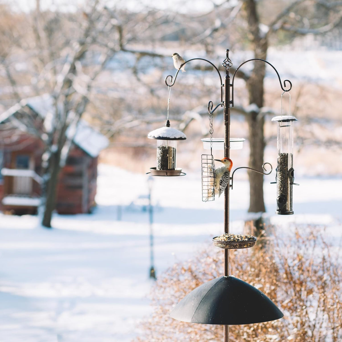 Backyard Expressions 90" Bird Feeding Station for Outdoors, Heavy Duty Bird Feeder Pole with Squirrel Baffle, Shepherd Hooks, Suet Cage, Water Bowl & Tray, Multi Hook Bird Feeder Stand for Yard Garden
