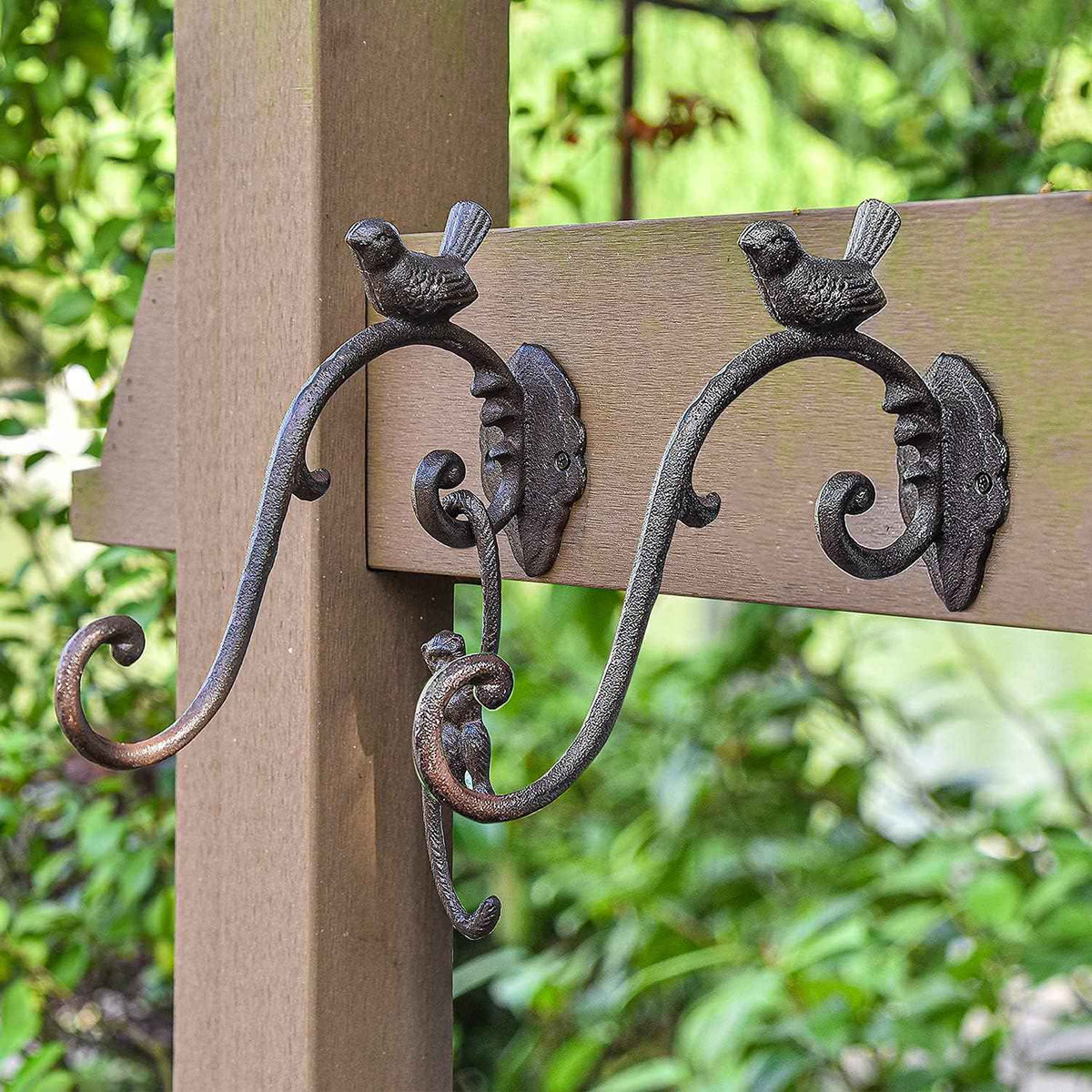 Sungmor Cast Iron Wall Hanging Plant Bracket, 2 Pack 10 Inch Decorative Plant Hanger, Lovely Bird Metal Plant Hooks for Hanging Planters Lanterns Bird Feeders Wind Chimes