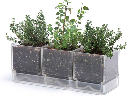 D'vine Dev Herb Garden Planter Set, Plastic Plant Pots with Drainage and Saucer, Indoor Succulent Cactus Vegetable Pot for Windowsill, Garden Balcony, Clear, Set of 1, 76-V-D-1
