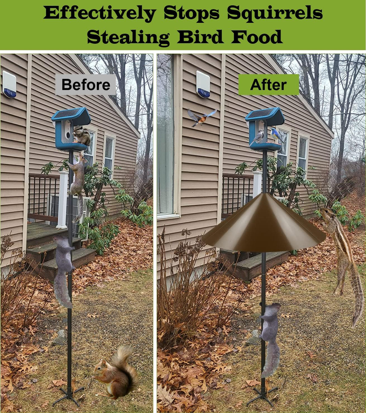 Wide Squirrel Baffle for Bird Feeder Poles – 19 in, Brown, 1 Pack