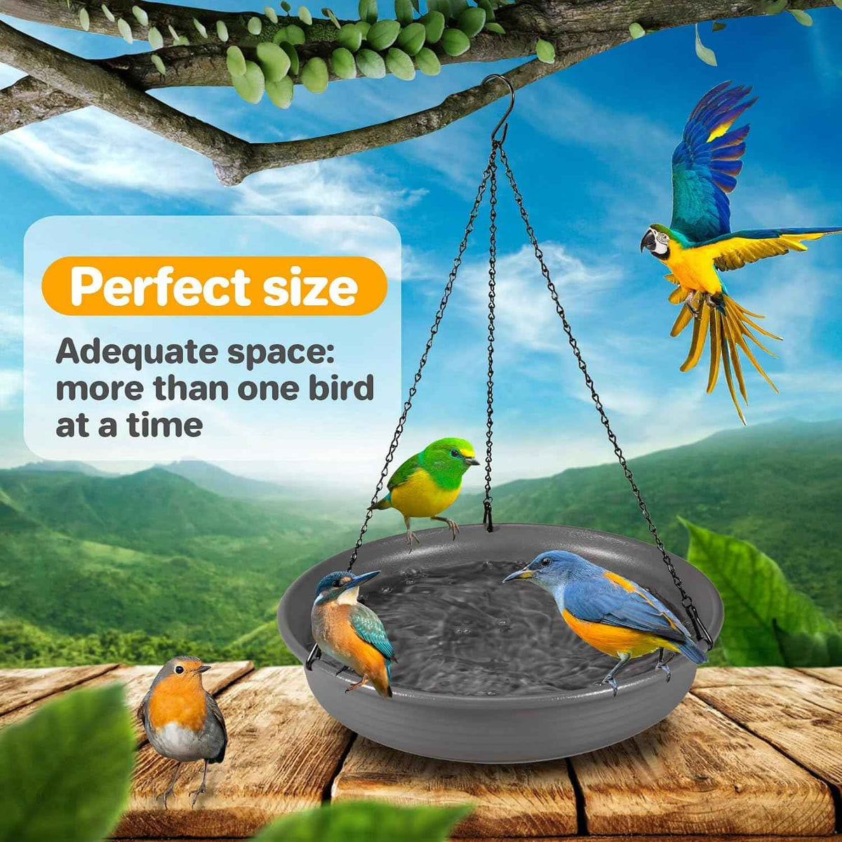 CARGEN Hanging Bird Bath Bowl - Window Bird Water Feeder Tray for Outdoors | Bird Bath for Outside, Garden Wildlife Feeding Plate for Patio Yard Decor, Gift for Bird Lovers, Backyard Bird Must Haves