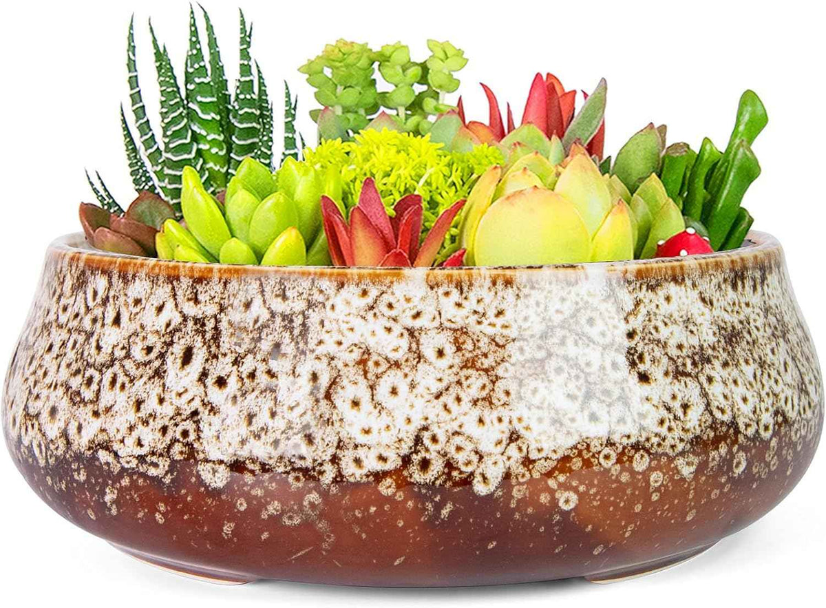 ARTKETTY Succulent Pots - 8 Inch Plant Pot, Large Bonsai Pots with Drainage, Ceramic Planters for Indoor Outdoor Plants, Round Shallow Cactus Flower Plant Container Bowl Decorative Home Garden