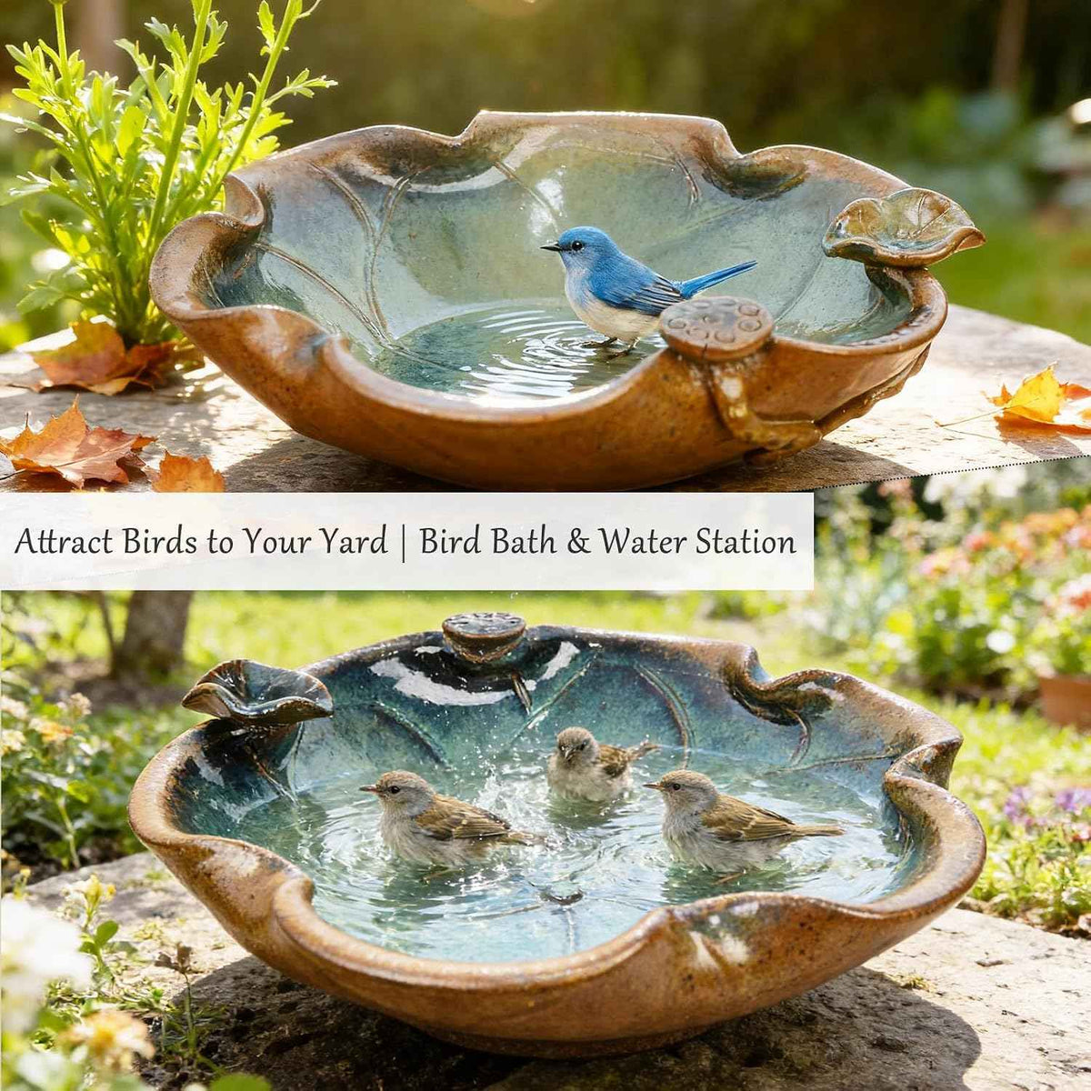 Ceramic Bird Bath and Feeder, Heavy Duty 12.5-Inch Ground Feeding Bowl, Wildlife Water Station for Squirrel Rabbit Bird Bee - Garden, Yard, Balcony Décor