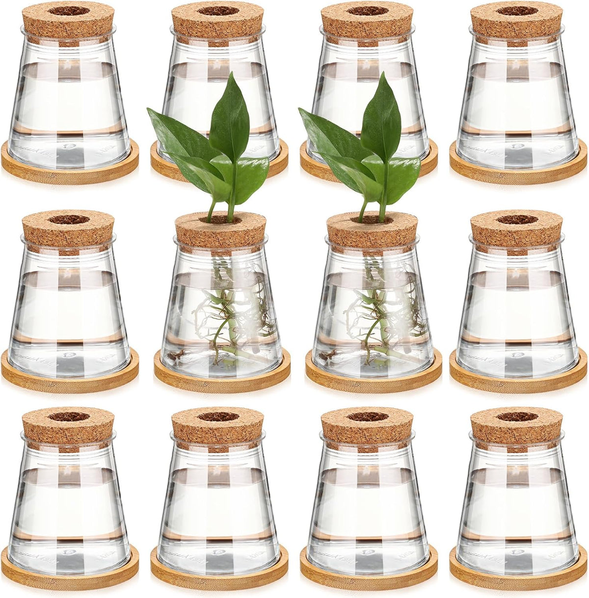 Baderke 12 Packs Plastic Desktop Vase with Hole Lid and Bamboo Stand Plant Propagation Stations Plant Growing in Water Hydroponic Home Office Table Decoration (Fresh Style)