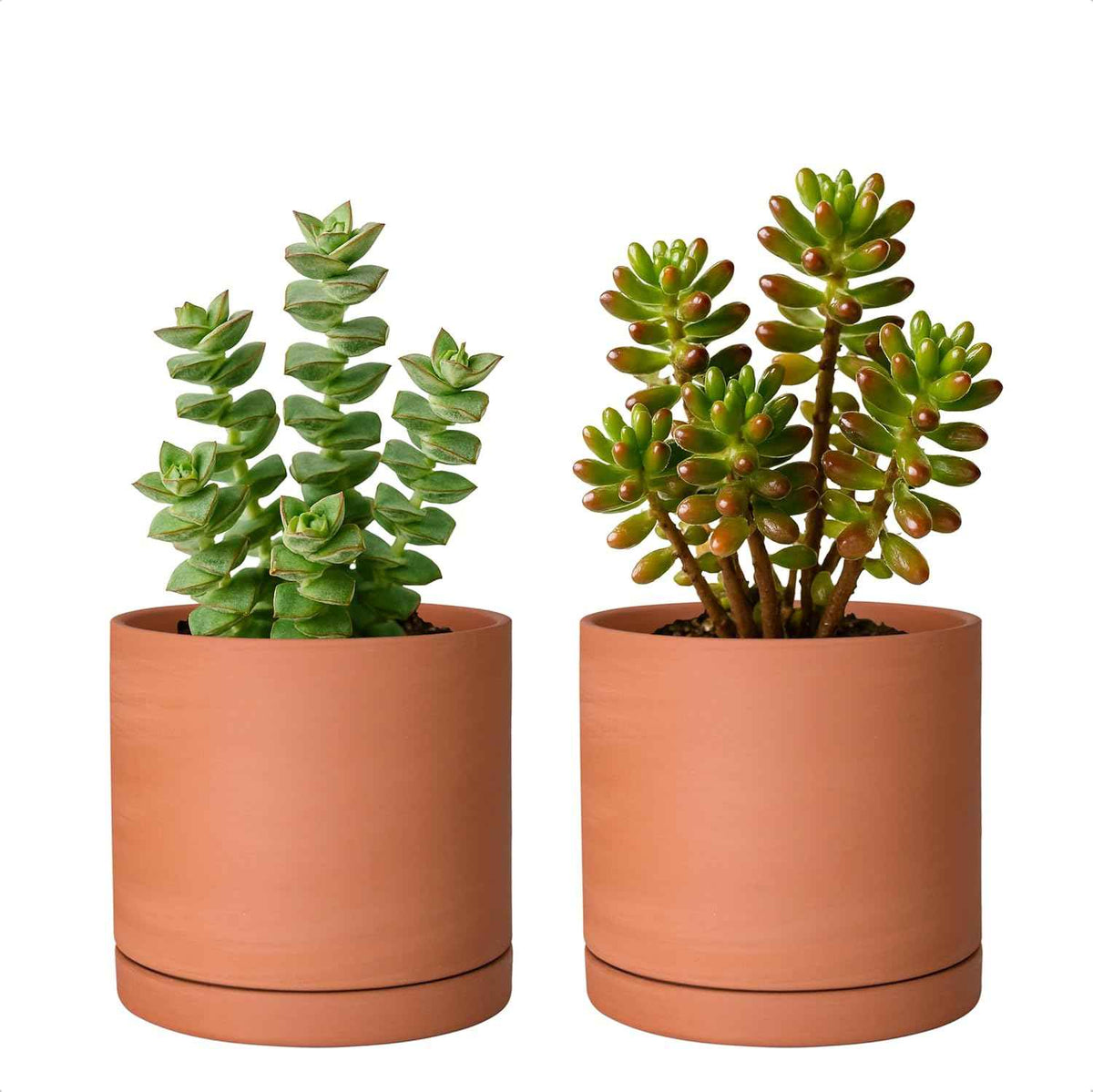 D'vine Dev Small 5 Inch Terracotta Plant Pot with Drainage Hole and Saucer, Round Cylinder Planter Pot for Indoor Plants, Set of 2, 40-X-B-2
