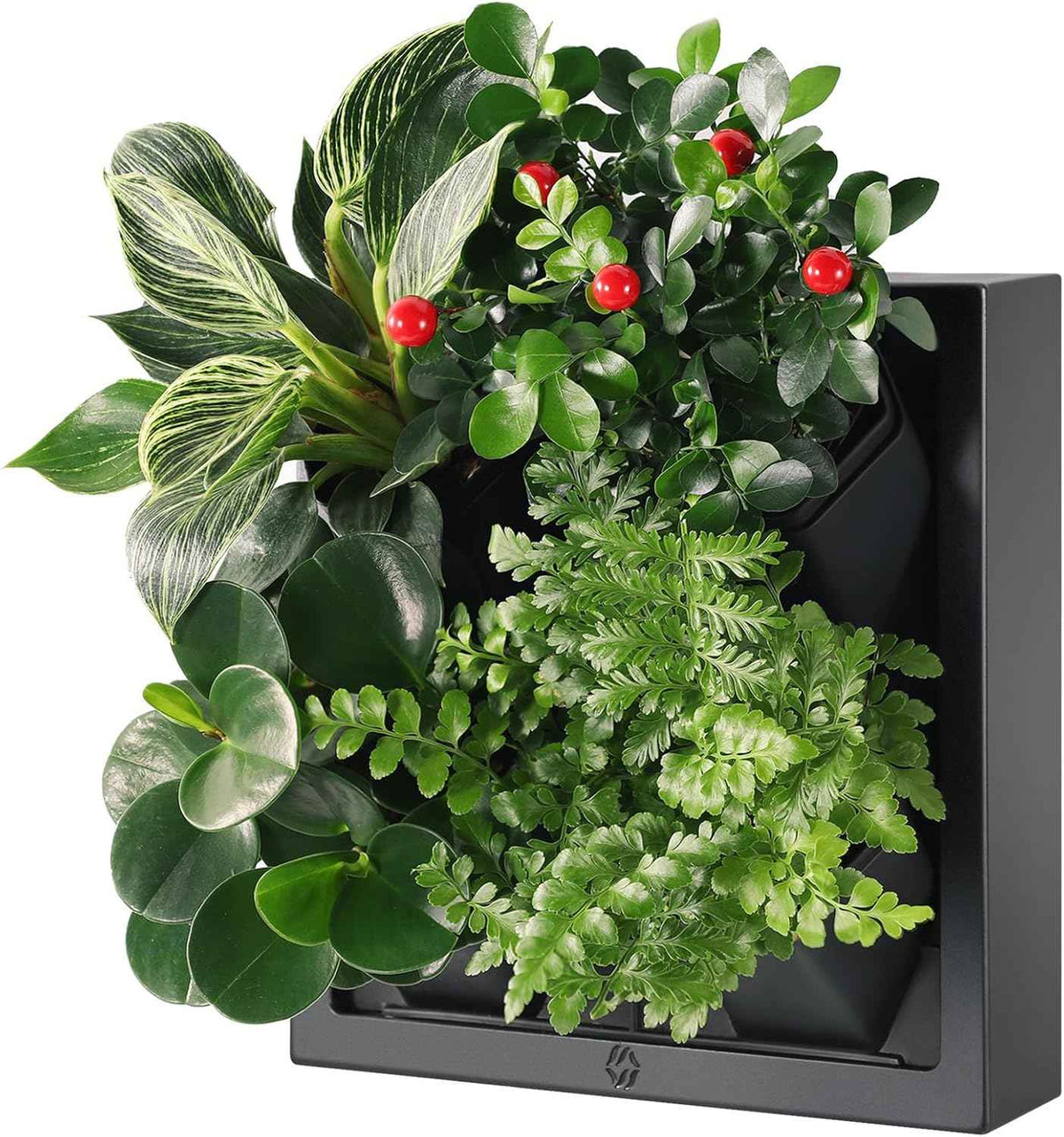Wall-Mounted Vertical Garden Planter – Ready-to-Use Indoor Wall Planter with 4 Grow Pots – Perfect for Herbs, Succulents & Flowers – No Assembly Required(Black)