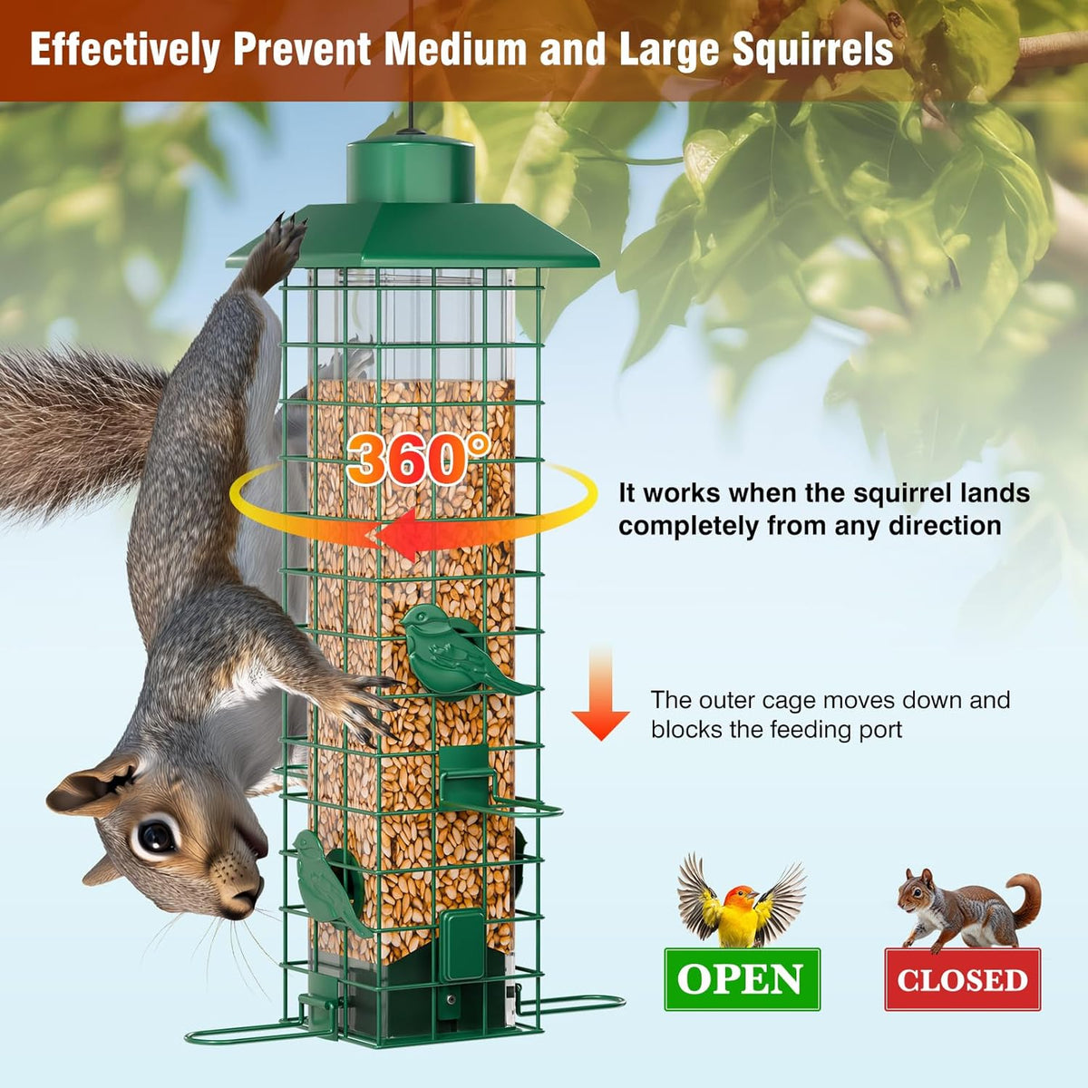 Squirrel-Resistant Hanging Metal Bird Feeder – 3 lb