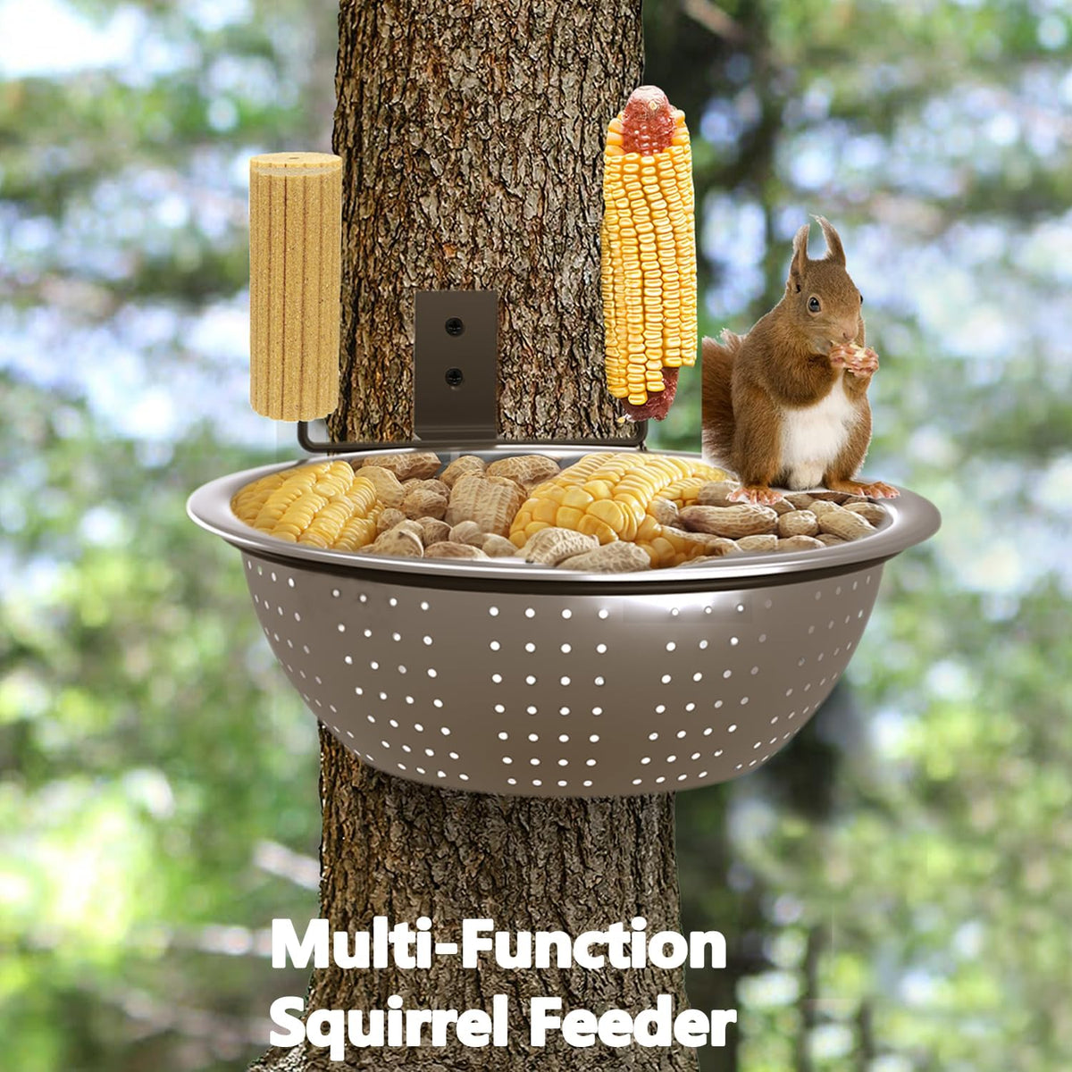 2 Pack 8.5" Squirrel and Bird Feeder for Outside Tree/Fence, Removable Metal Bowl Feeder with Drainage Holes, Adding 1 for Squirrel Watering or Bird Bath/Swim, Sturdy Easy Clean Feeders for Outdoor