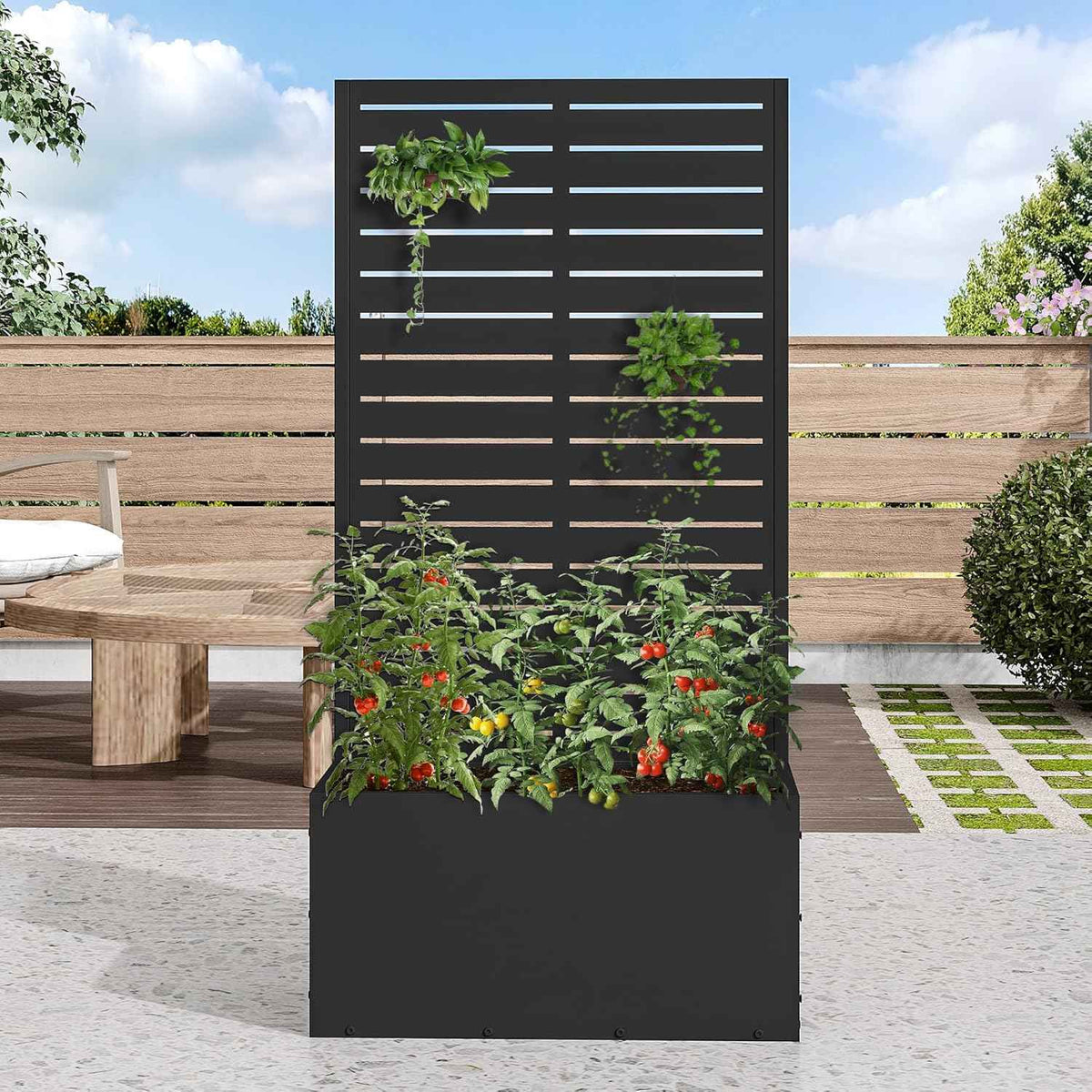 Casaphoria Metal Raised Garden Bed, 47"x24"x12" Planter Box for Climbing Plants, Vegetables & Vines, Features Drainage Holes and Privacy Screen (Black-Louvered)