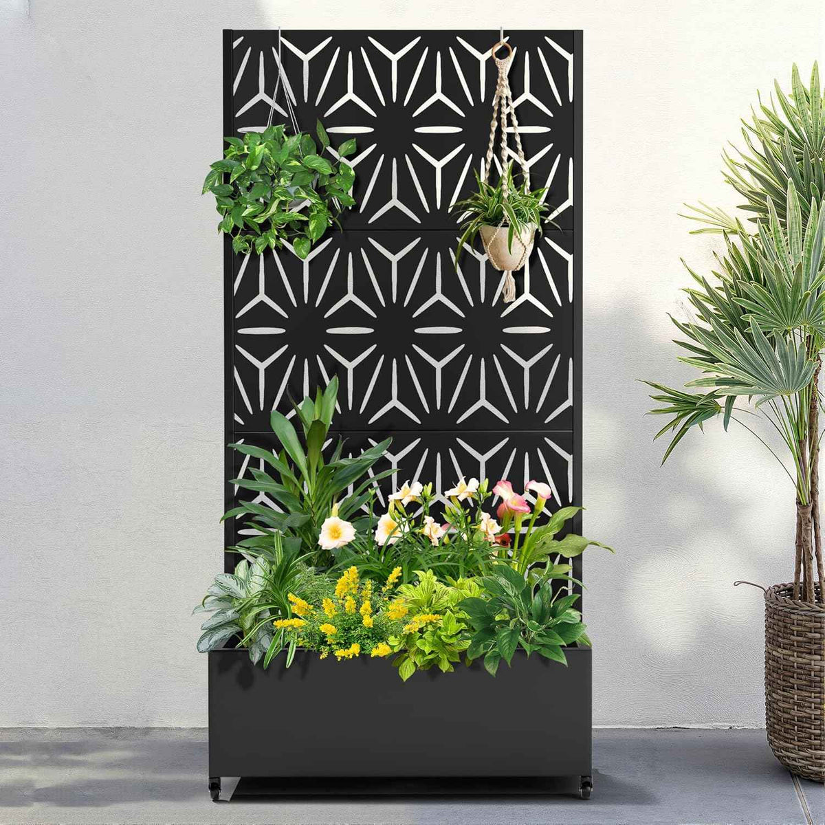 FENCY Metal Raised Garden Bed with Wheels and Trellis,73"x35"x16" Planter Box for Climbing Plants, Vegetables & Vines, Features Privacy Screen and Drainage Holes (Black-Star)