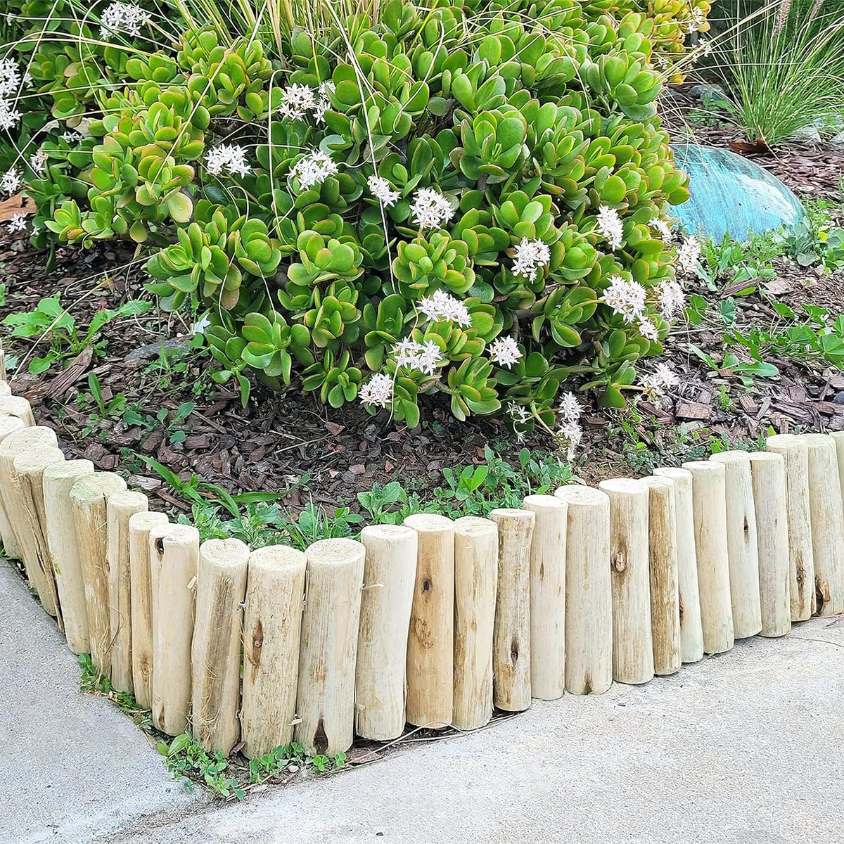 Natural Eucalyptus Wood Garden Edging – 72 in × 6 in