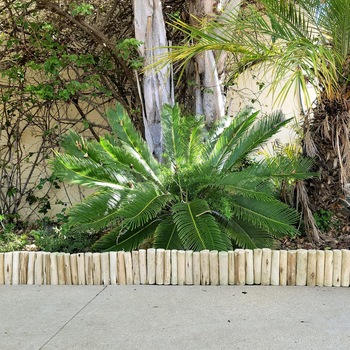 Natural Eucalyptus Wood Garden Edging – 72 in × 6 in